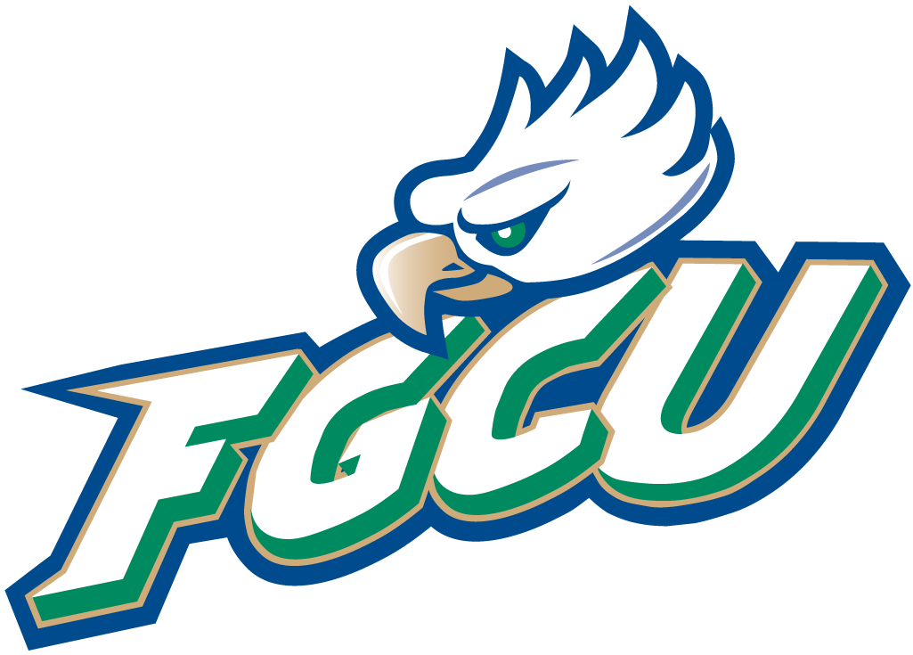 Florida Gulf Coast Eagles 2002-Pres Primary Logo diy fabric transfer